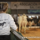 Otra mirada al XXXVII Concurso Morfolgico de Ganado Vacuno Frisn de Menorca 2025