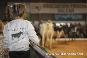 Otra mirada al XXXVII Concurso Morfolgico de Ganado Vacuno Frisn de Menorca 2025