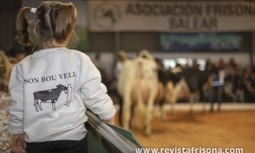 Otra mirada al XXXVII Concurso Morfolgico de Ganado Vacuno Frisn de...