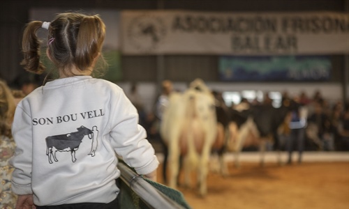Otra mirada al XXXVII Concurso Morfolgico de Ganado Vacuno Frisn de...