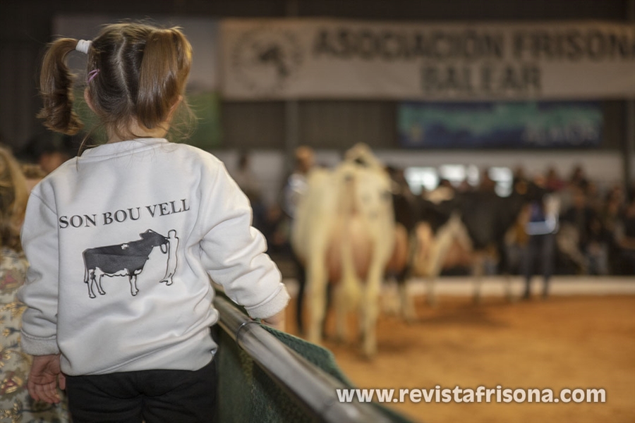 Otra mirada al XXXVII Concurso Morfolgico de Ganado Vacuno Frisn de...