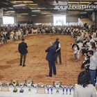 Concurso de futuras promesas Menorca 2025
