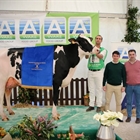 Venturo Delta-Lambda Margarita, Vaca Gran Campeona de Salas 2025