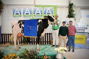 Venturo Delta-Lambda Margarita, Vaca Gran Campeona de Salas 2025