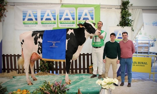 Venturo Delta-Lambda Margarita, Vaca Gran Campeona de Salas 2025