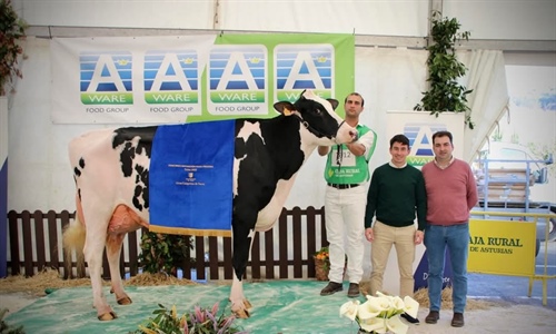 Venturo Delta-Lambda Margarita, Vaca Gran Campeona de Salas 2025