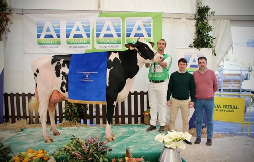Venturo Delta-Lambda Margarita, Vaca Gran Campeona de Salas 2025