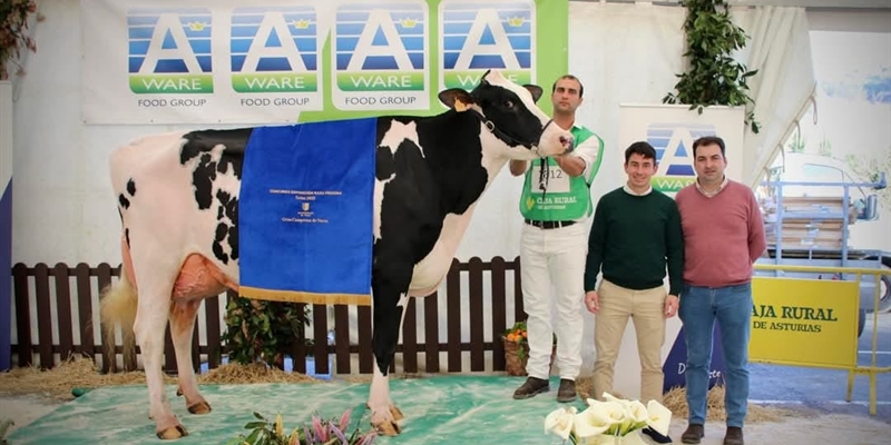 Venturo Delta-Lambda Margarita, Vaca Gran Campeona de Salas 2025