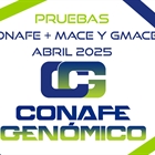 Actualizacin de las pruebas genmicas nacionales de Machos y Hembras y pruebas MACE y GMACE Abril 2025