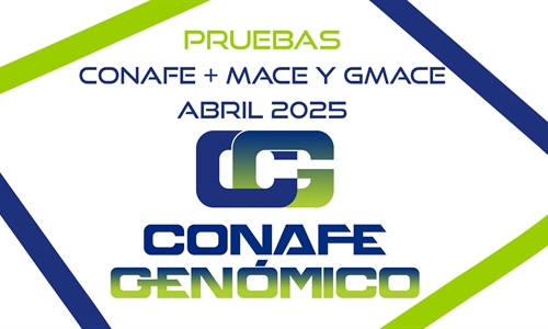 Actualizacin de las pruebas genmicas nacionales de Machos y Hembras y...