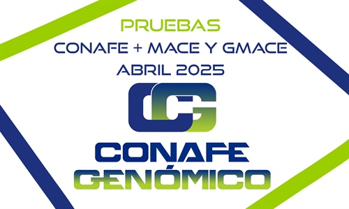 Actualizacin de las pruebas genmicas nacionales de Machos y Hembras y...