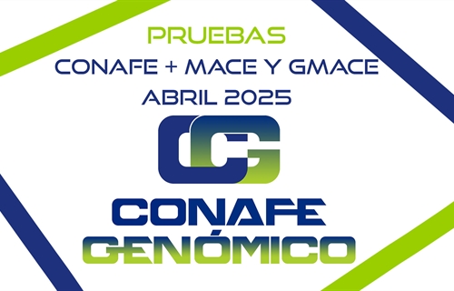 Actualizacin de las pruebas genmicas nacionales de Machos y Hembras y...