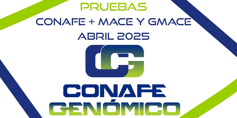 Actualizacin de las pruebas genmicas nacionales de Machos y Hembras y pruebas MACE y GMACE Abril 2025