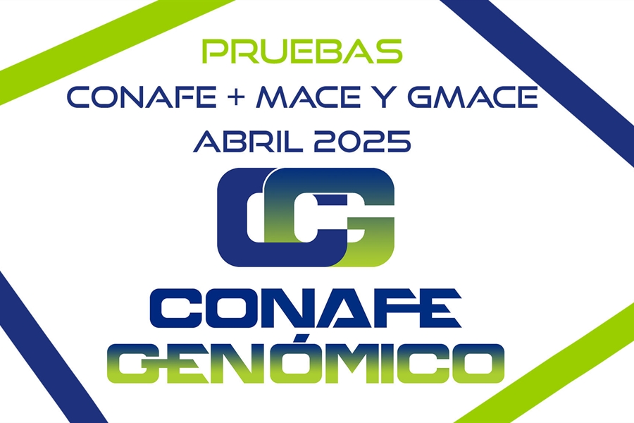 Actualizacin de las pruebas genmicas nacionales de Machos y Hembras y...
