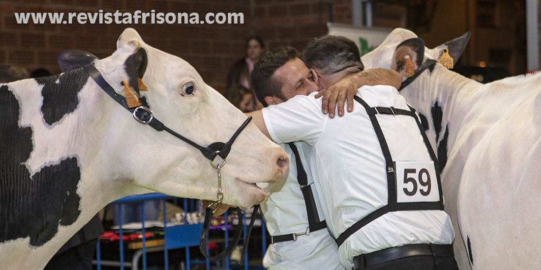 Otra mirada al Concurso Cataln de Raza Frisona 2025