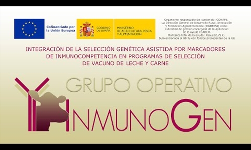 GO_INMUNOGEN, un proyecto para avanzar hacia una ganadera bovina...