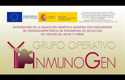 GO_INMUNOGEN, un proyecto para avanzar hacia una ganadera bovina...