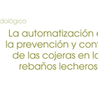 La automatizacin en la prevencin y control de las cojeras en los rebaos lecheros