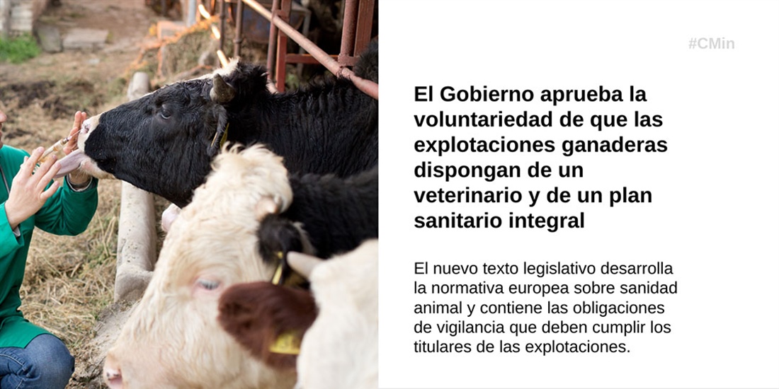 El Gobierno aprueba la voluntariedad de que las ganaderas dispongan de...