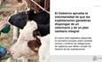 El Gobierno aprueba la voluntariedad de que las ganaderas dispongan de un veterinario y de un plan sanitario integral