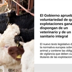 El Gobierno aprueba la voluntariedad de que las ganaderas dispongan de un veterinario y de un plan sanitario integral