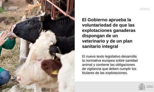 El Gobierno aprueba la voluntariedad de que las ganaderas dispongan de...