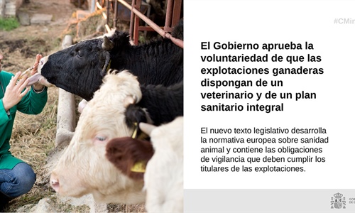 El Gobierno aprueba la voluntariedad de que las ganaderas dispongan de...