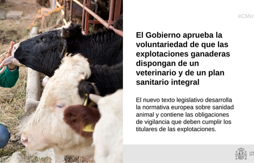 El Gobierno aprueba la voluntariedad de que las ganaderas dispongan de...
