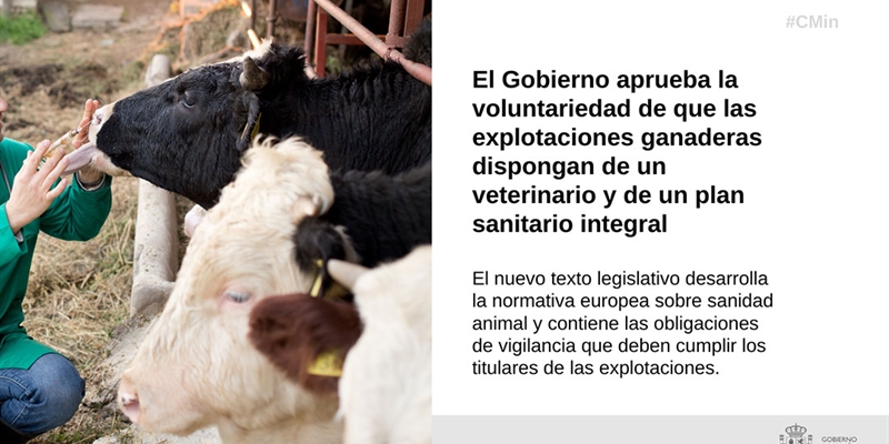 El Gobierno aprueba la voluntariedad de que las ganaderas dispongan de un veterinario y de un plan sanitario integral