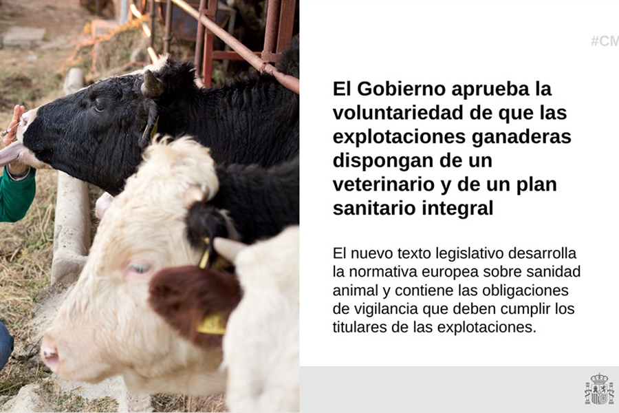 El Gobierno aprueba la voluntariedad de que las ganaderas dispongan de...
