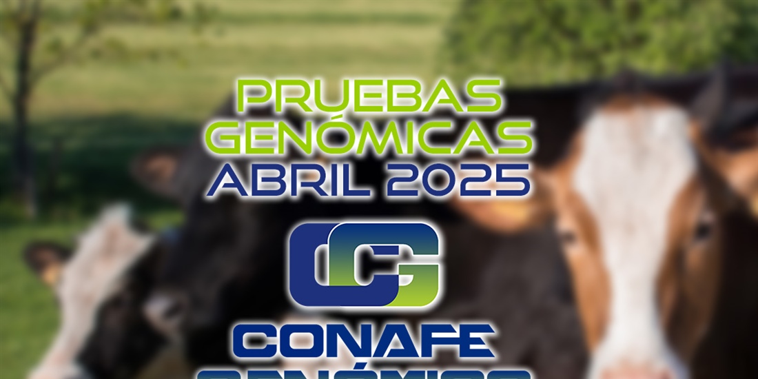 Actualizacin de las pruebas genmicas de Hembras CONAFE Abril 2025