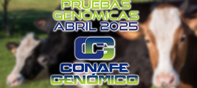Actualizacin de las pruebas genmicas de Hembras CONAFE Abril 2025