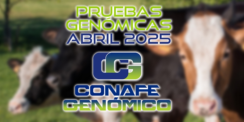 Actualizacin de las pruebas genmicas de Hembras CONAFE Abril 2025
