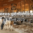 Nuevos toros genmicos con Prueba Oficial: Evaluacin genmica Abril 2025