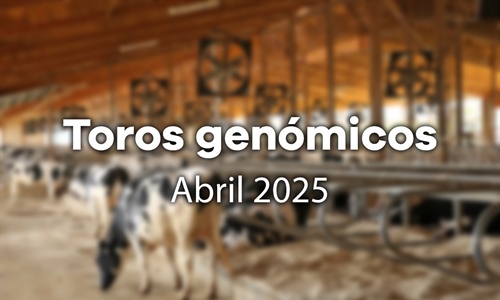 Nuevos toros genmicos con Prueba Oficial: Evaluacin genmica Abril 2025