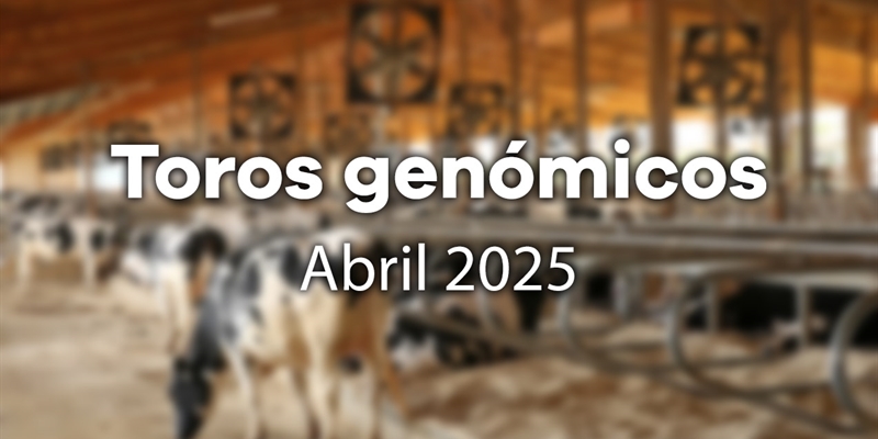 Nuevos toros genmicos con Prueba Oficial: Evaluacin genmica Abril 2025