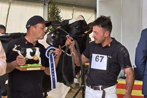 821 Duran Sailing Cardinals (Mas Gelats Vell), Vaca Gran Campeona de Campllong 2025
