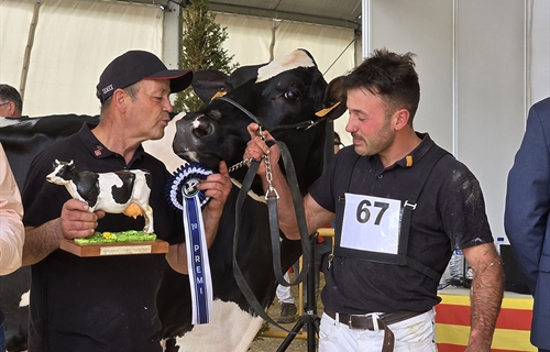 821 Duran Sailing Cardinals (Mas Gelats Vell), Vaca Gran Campeona de...