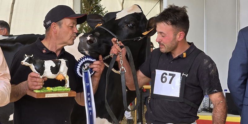 821 Duran Sailing Cardinals (Mas Gelats Vell), Vaca Gran Campeona de Campllong 2025