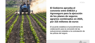 El Gobierno aprueba el convenio entre ENESA y Agroseguro para los planes de seguros agrarios combinados en 2025, por 315 millones de euros