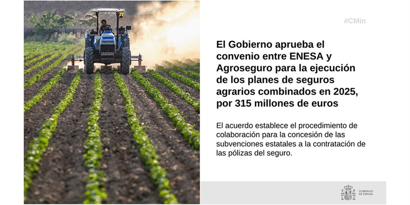 El Gobierno aprueba el convenio entre ENESA y Agroseguro para los planes de seguros agrarios combinados en 2025, por 315 millones de euros