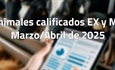 Animales calificados EX y MB en marzo y abril de 2025
