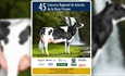 45 Concurso Regional de Asturias de la Raza Frisona 2025