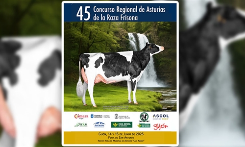45 Concurso Regional de Asturias de la Raza Frisona 2025