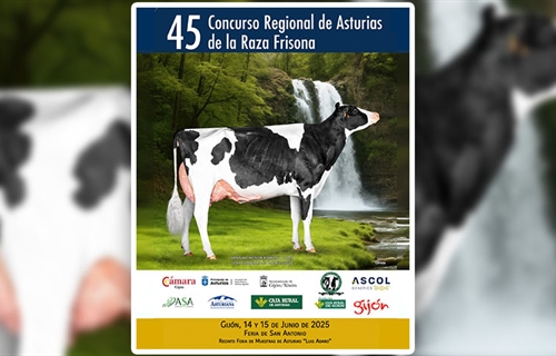 45 Concurso Regional de Asturias de la Raza Frisona 2025