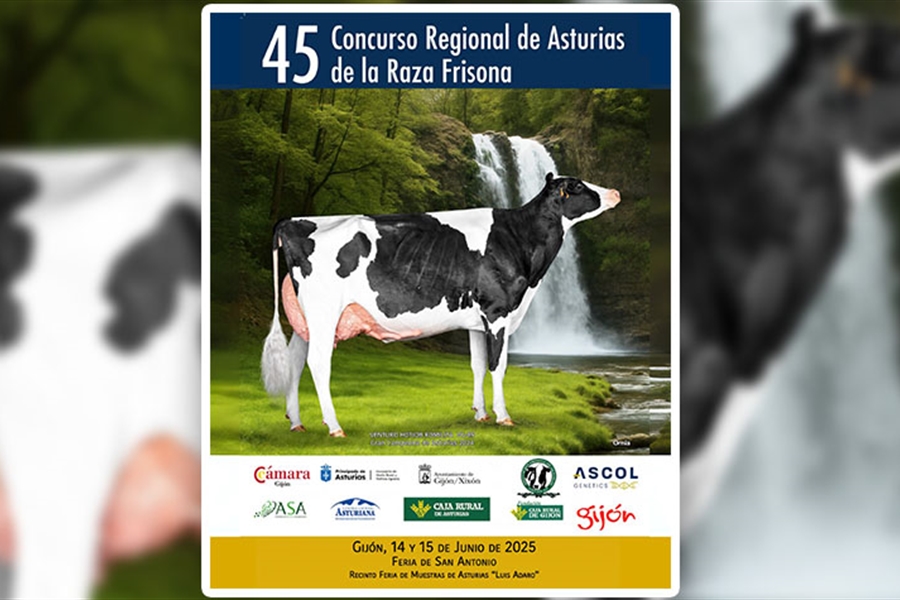 45 Concurso Regional de Asturias de la Raza Frisona 2025