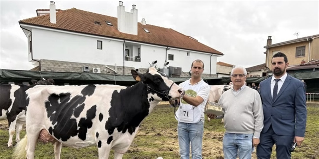 Cudaa Arenetes Dallas (Cudaa), Vaca Gran Campeona del Concurso Frisn...