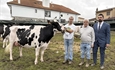 Cudaa Arenetes Dallas (Cudaa), Vaca Gran Campeona del Concurso Frisn de Galizano 2025