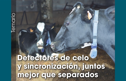 Detectores de celo y sincronizacin, juntos mejor que separados