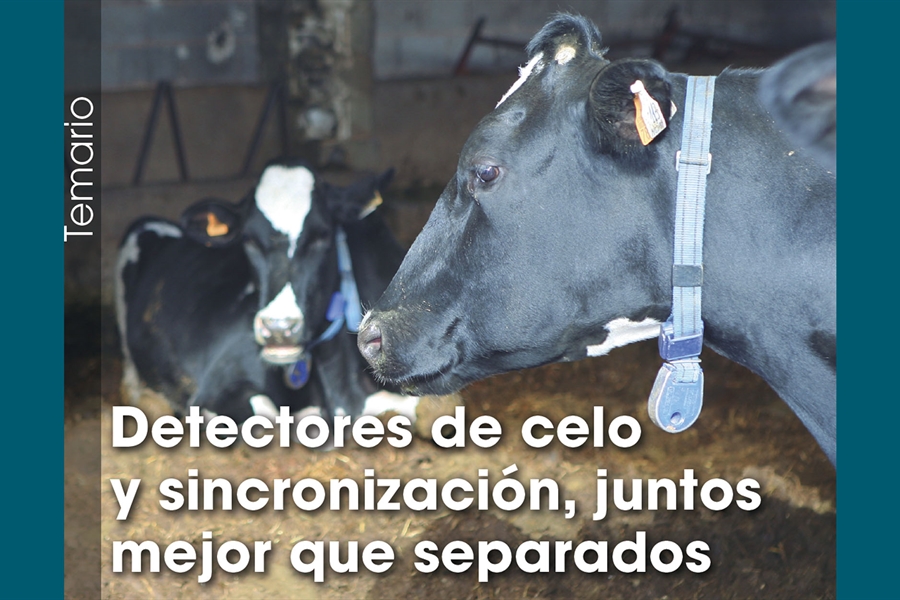 Detectores de celo y sincronizacin, juntos mejor que separados